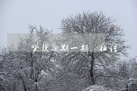 贷款逾期一期 征信 贷款逾期一期 征信